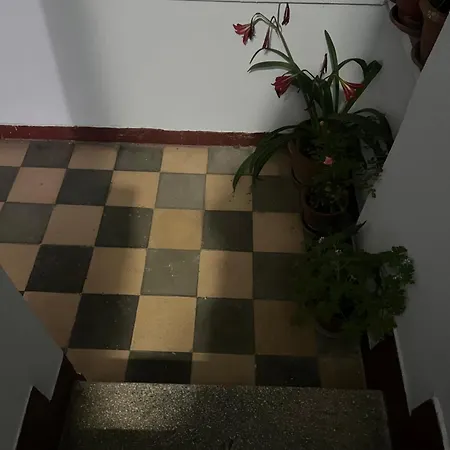 Apartment Prime